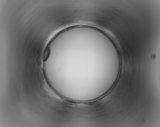 X0000111681280200908281127