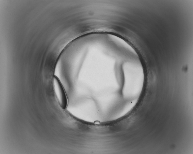 X0000111681281200908281127