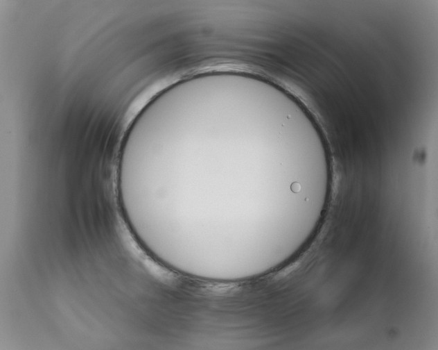 X0000111681282200908281127