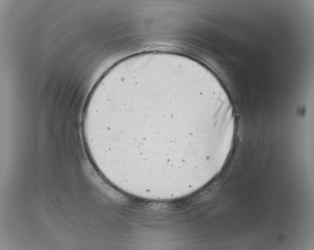 X0000111681283200908281127