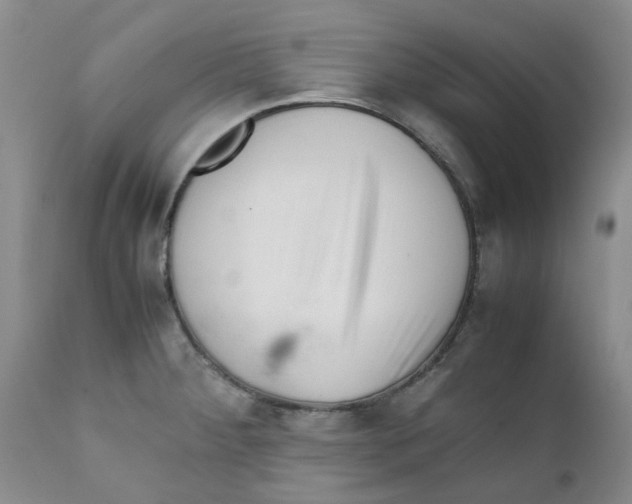 X0000111681284200908281127