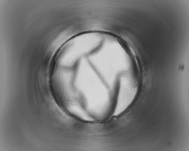 X0000111681285200908281127