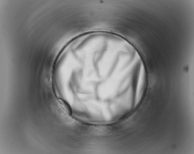 X0000111681288200908281127