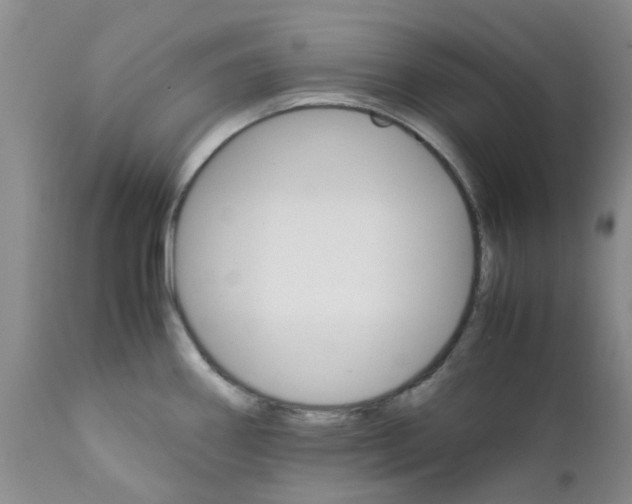 X0000111681290200908281127