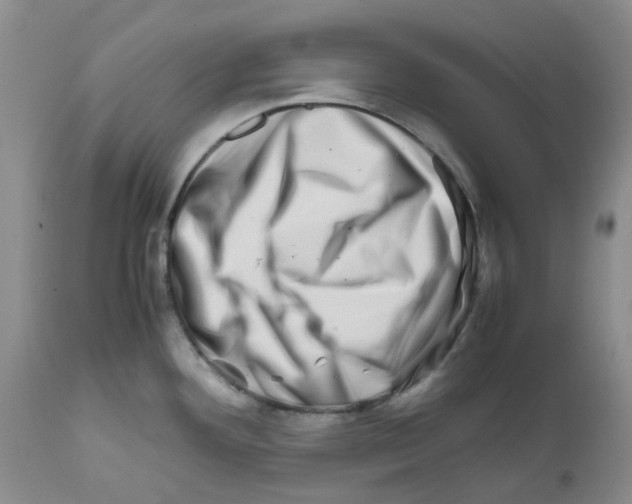 X0000111681292200908281127