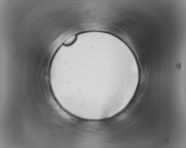 X0000111681293200908281127