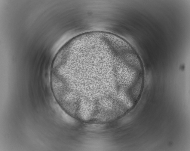 X0000111681294200908281127