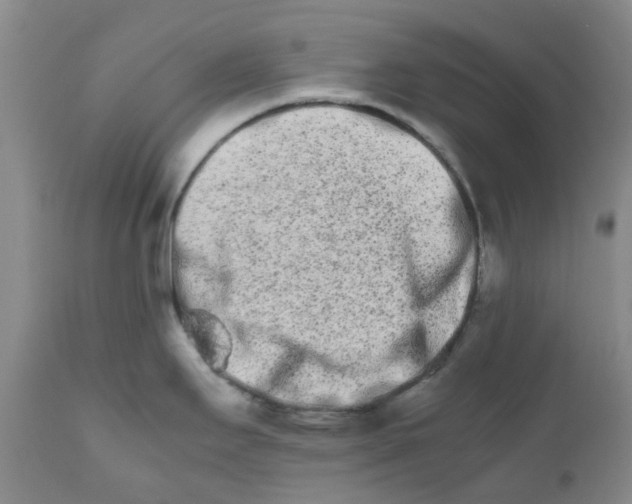 X0000111681295200908281127