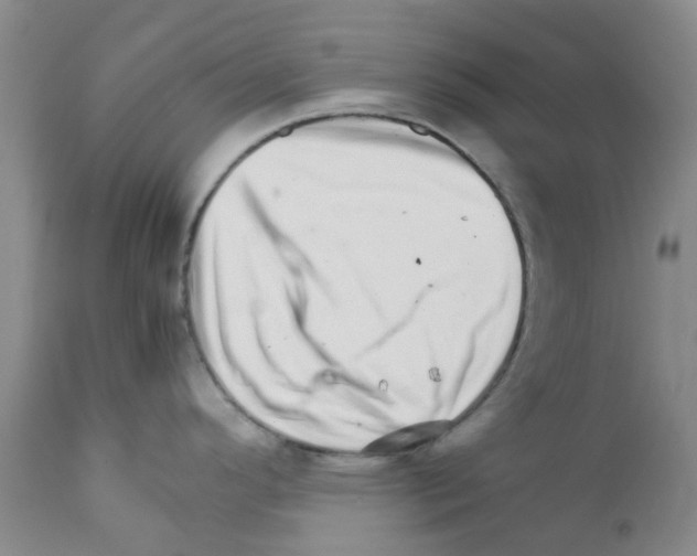 X0000111681296200908281126