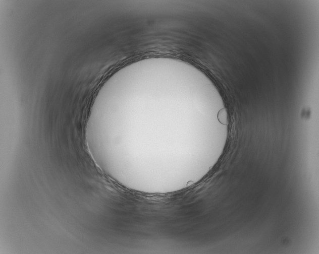 X0000111681297200908281125