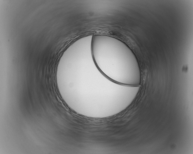 X0000111681298200908281125