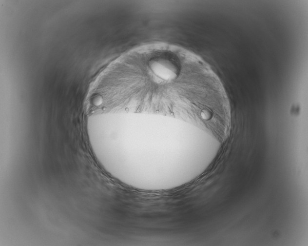 X0000111681301200908281126