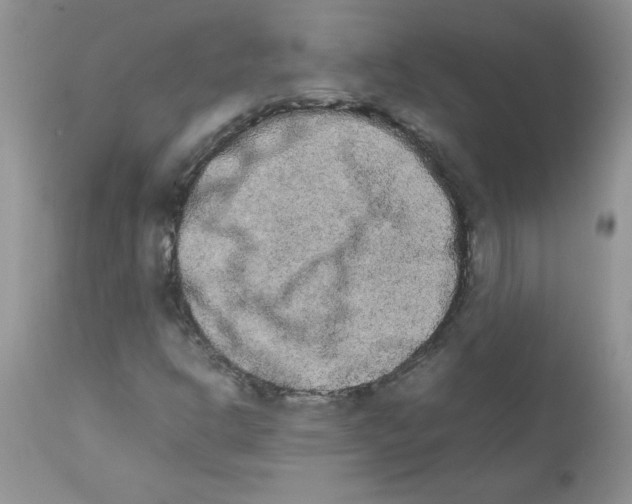 X0000111681302200908281126