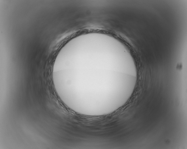 X0000111681303200908281126