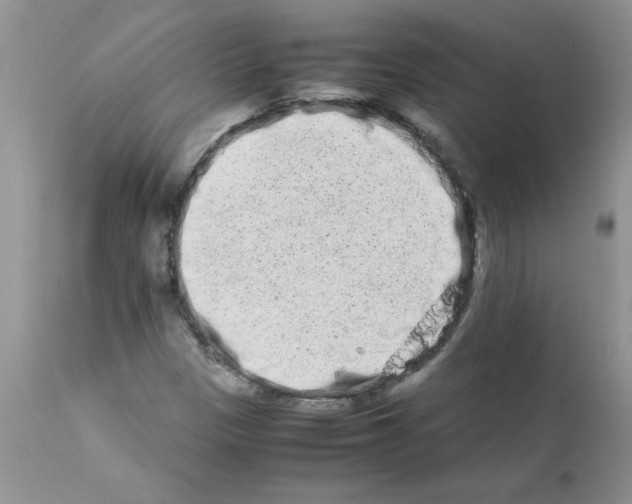 X0000111681305200908281126