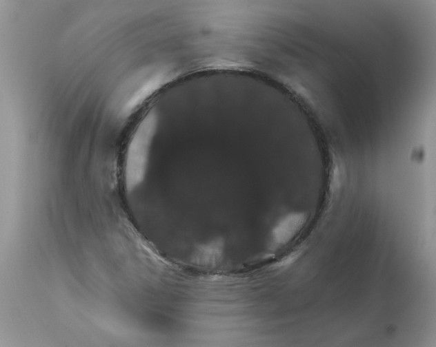 X0000111681306200908281126