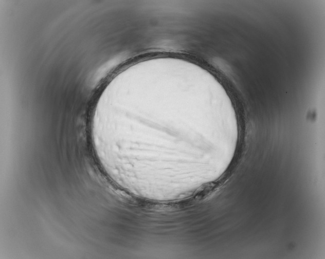 X0000111681307200908281126