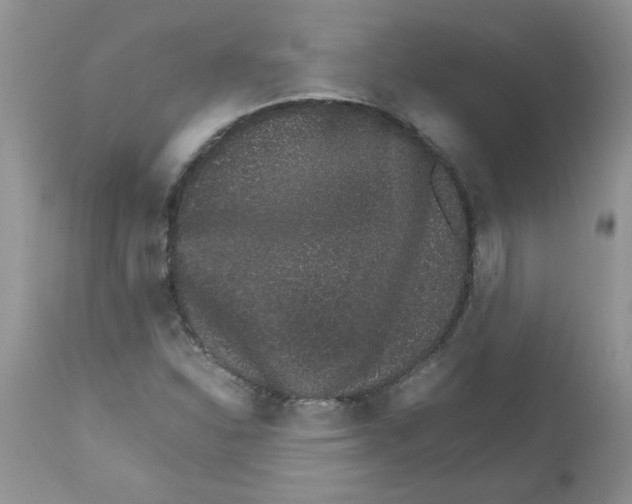 X0000111681310200908281126