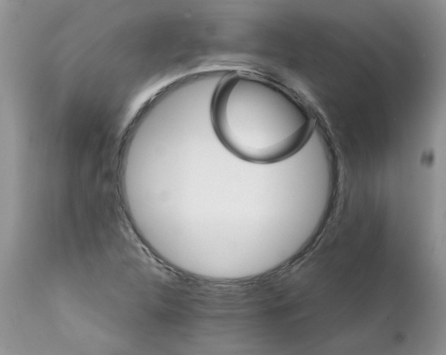 X0000111681312200908281126