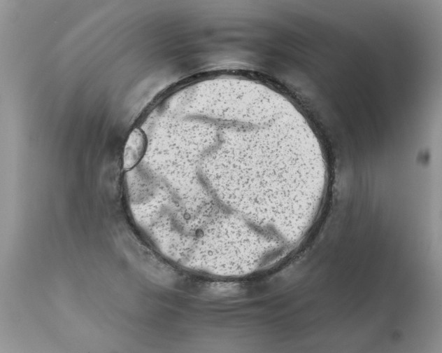 X0000111681313200908281126