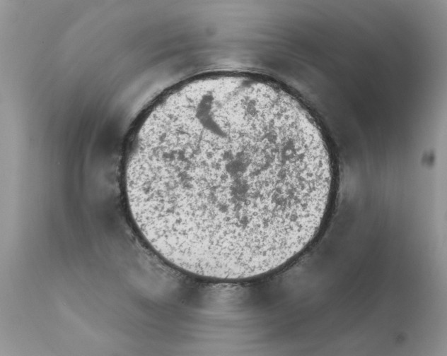 X0000111681314200908281126