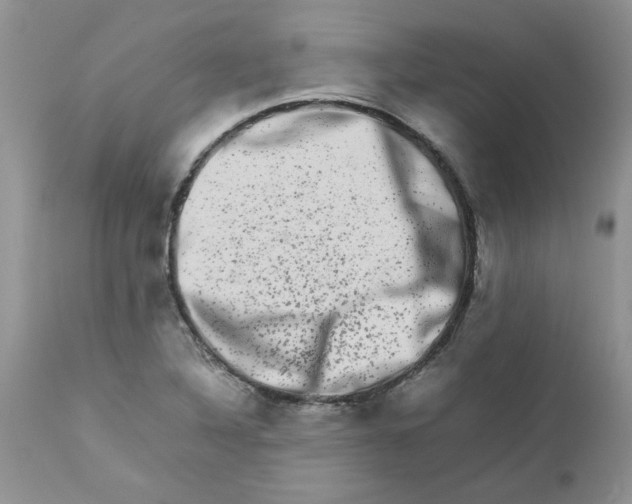 X0000111681316200908281126