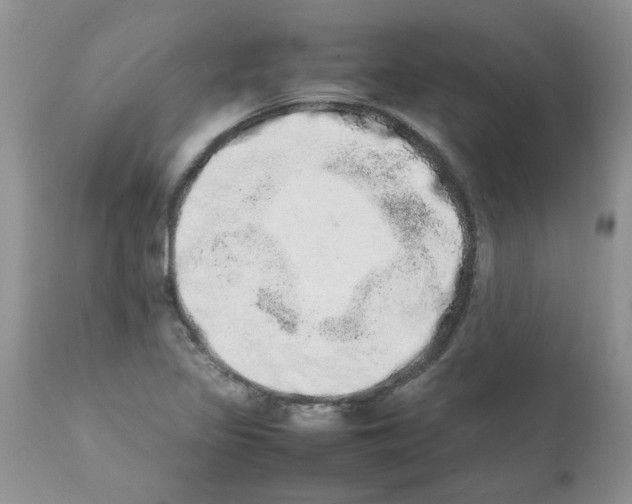 X0000111681317200908281126