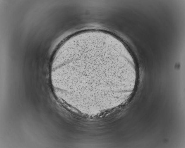 X0000111681318200908281126