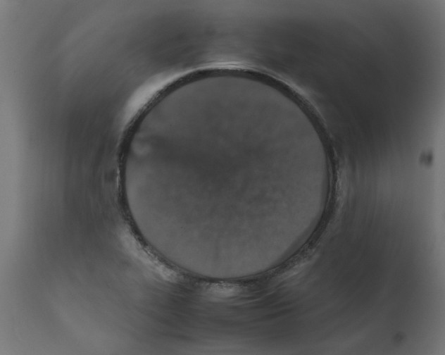 X0000111681319200908281126