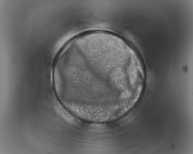 X0000111681320200908281126