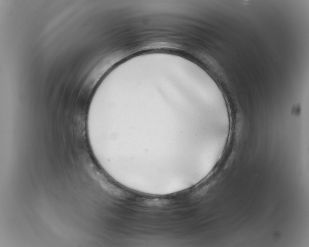 X0000111681321200908281126