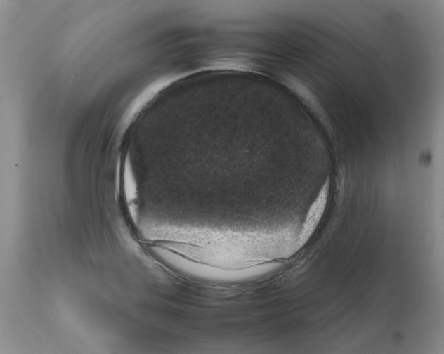 X0000111681323200908281126