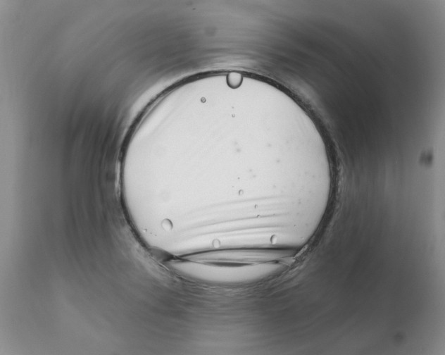 X0000111681324200908281126