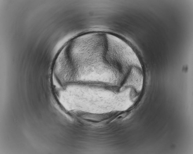 X0000111681325200908281126