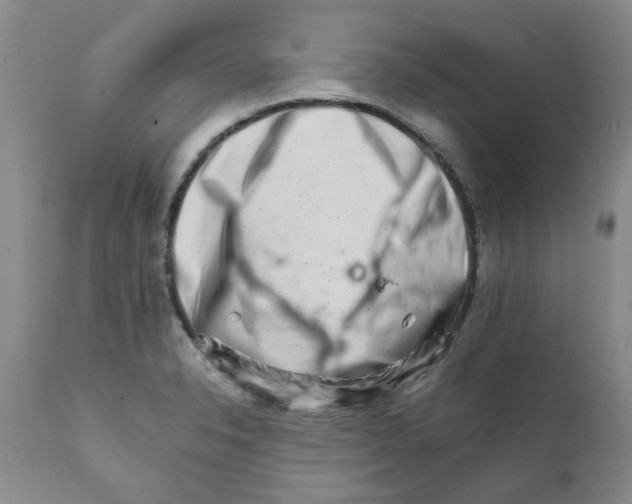 X0000111681326200908281126