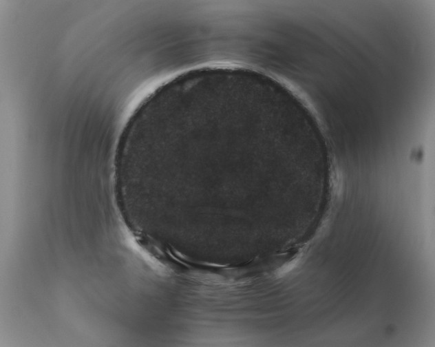 X0000111681327200908281126