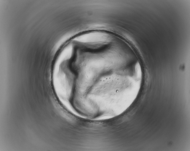 X0000111681328200908281126