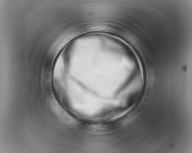 X0000111681330200908281126