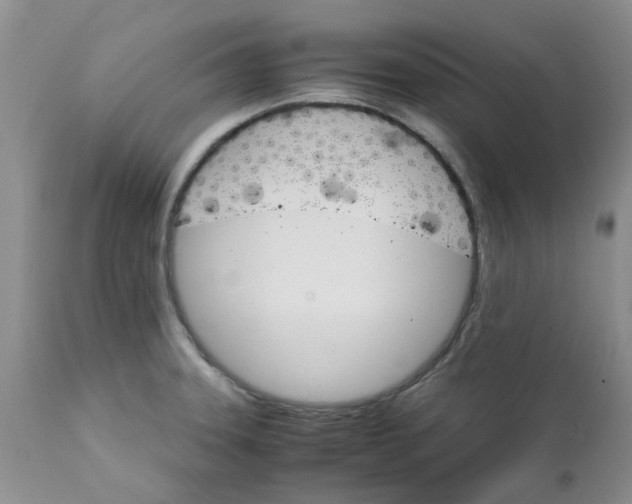 X0000111681331200908281126