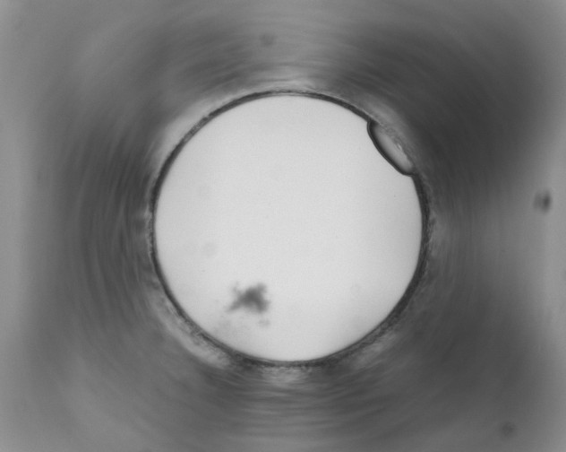 X0000111681332200908281126