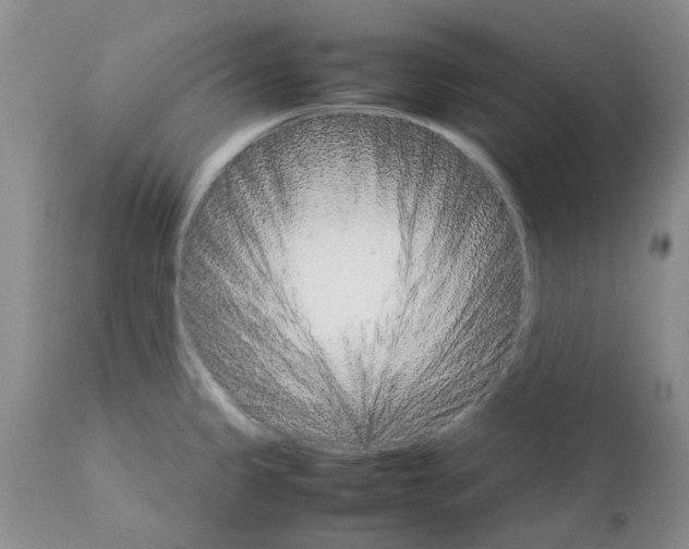 X0000111681333200908281126