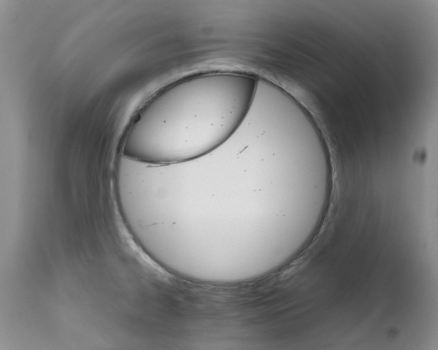 X0000111681334200908281126