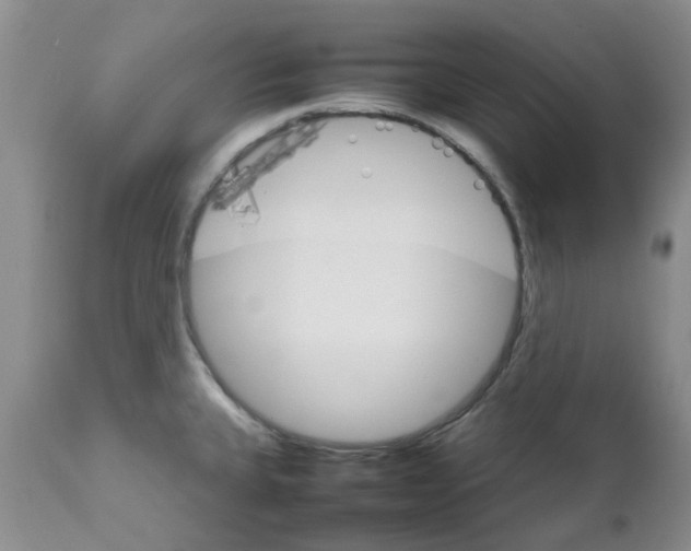 X0000111681335200908281126