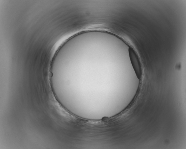 X0000111681336200908281126