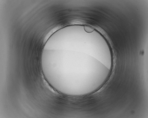 X0000111681337200908281126