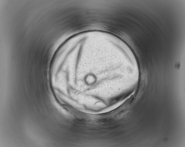 X0000111681339200908281126