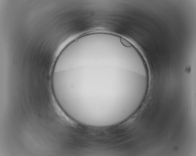 X0000111681341200908281126