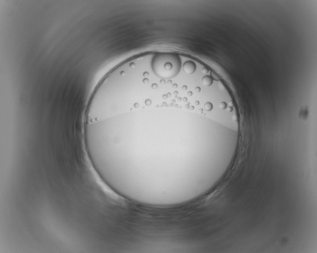 X0000111681343200908281126