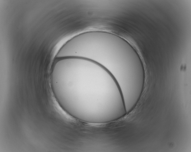 X0000111681344200908281126