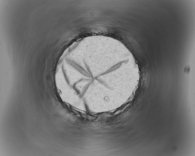 X0000111681345200908281125